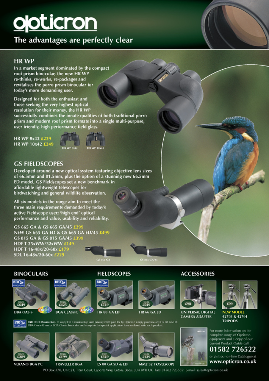 Birdwatch Magazine Preview Pages