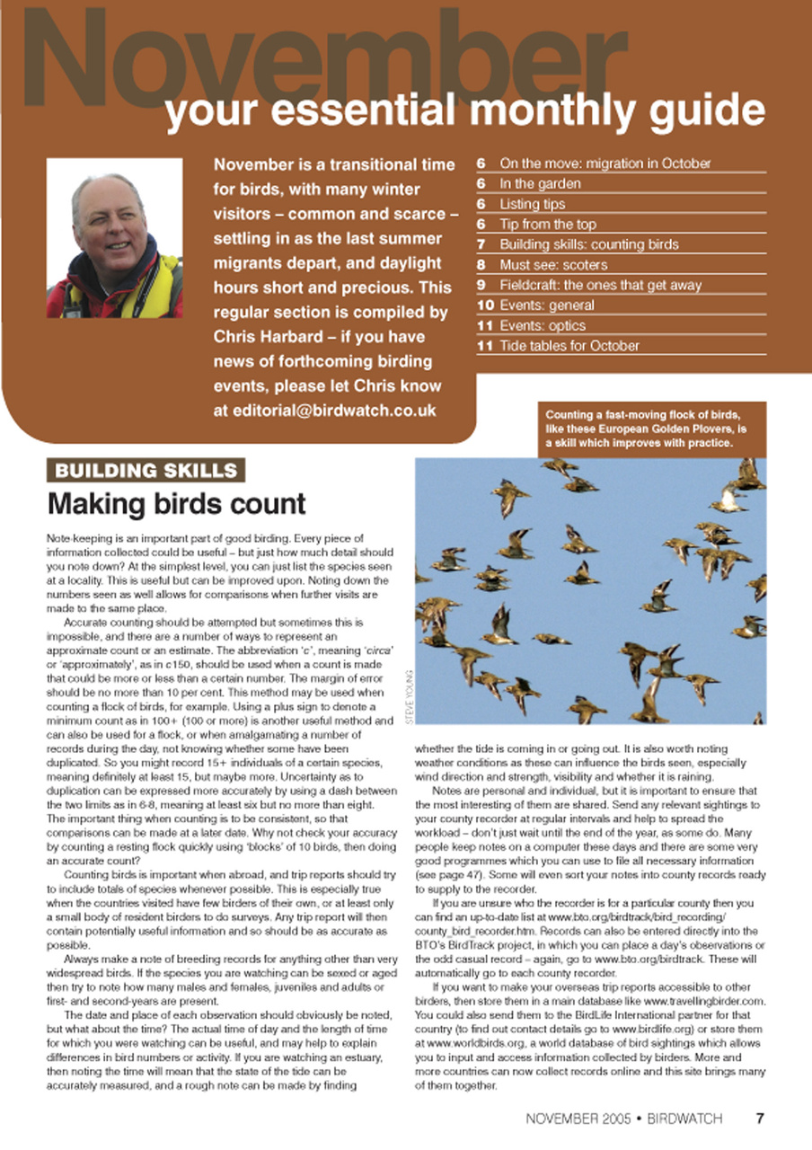 Birdwatch Magazine Preview Pages