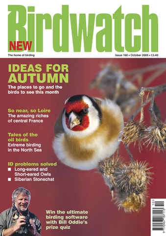 Birdwatch Magazine issue October 2005