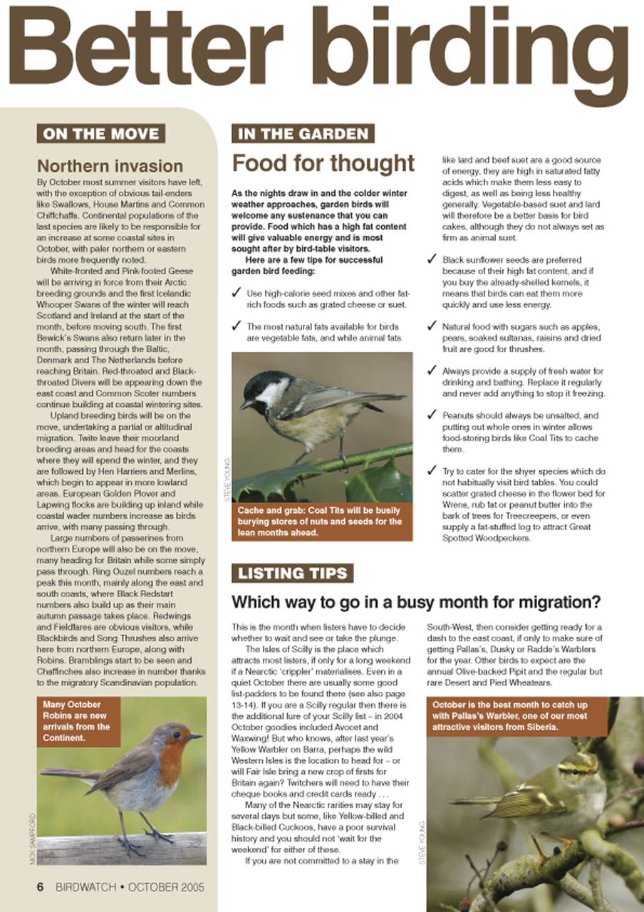 Birdwatch Magazine Preview Pages