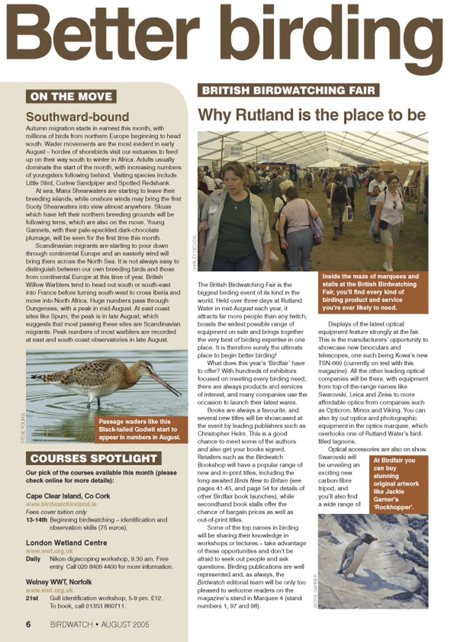 Birdwatch Magazine Preview Pages
