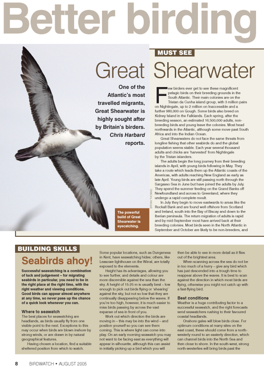 Birdwatch Magazine Preview Pages