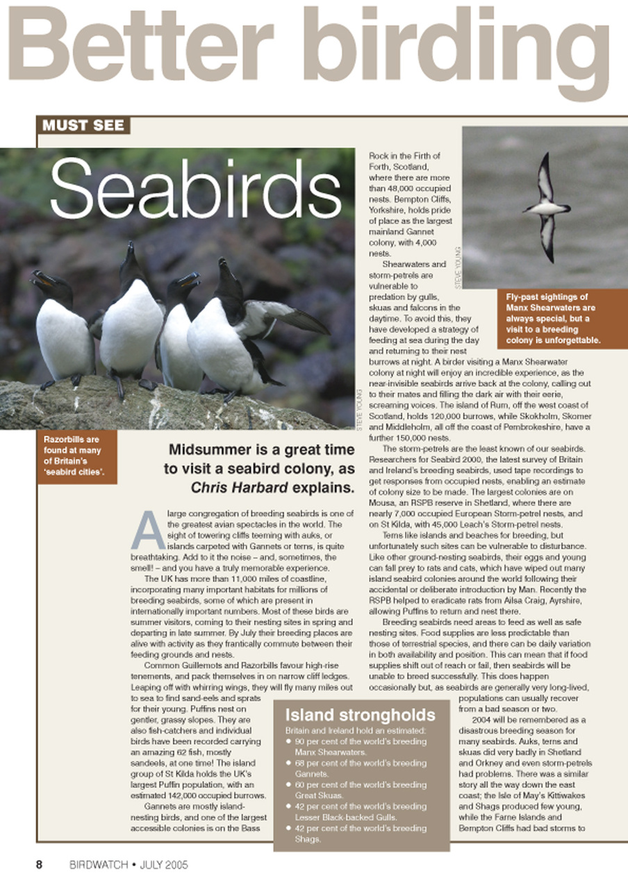 Birdwatch Magazine Preview Pages