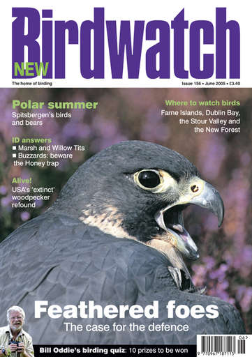 Birdwatch Magazine issue 