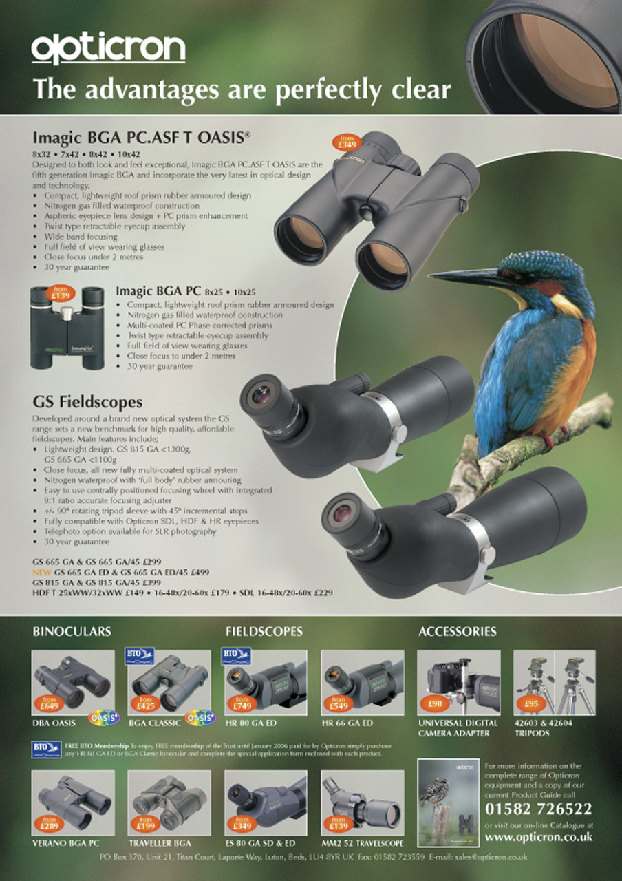 Birdwatch Magazine Preview Pages