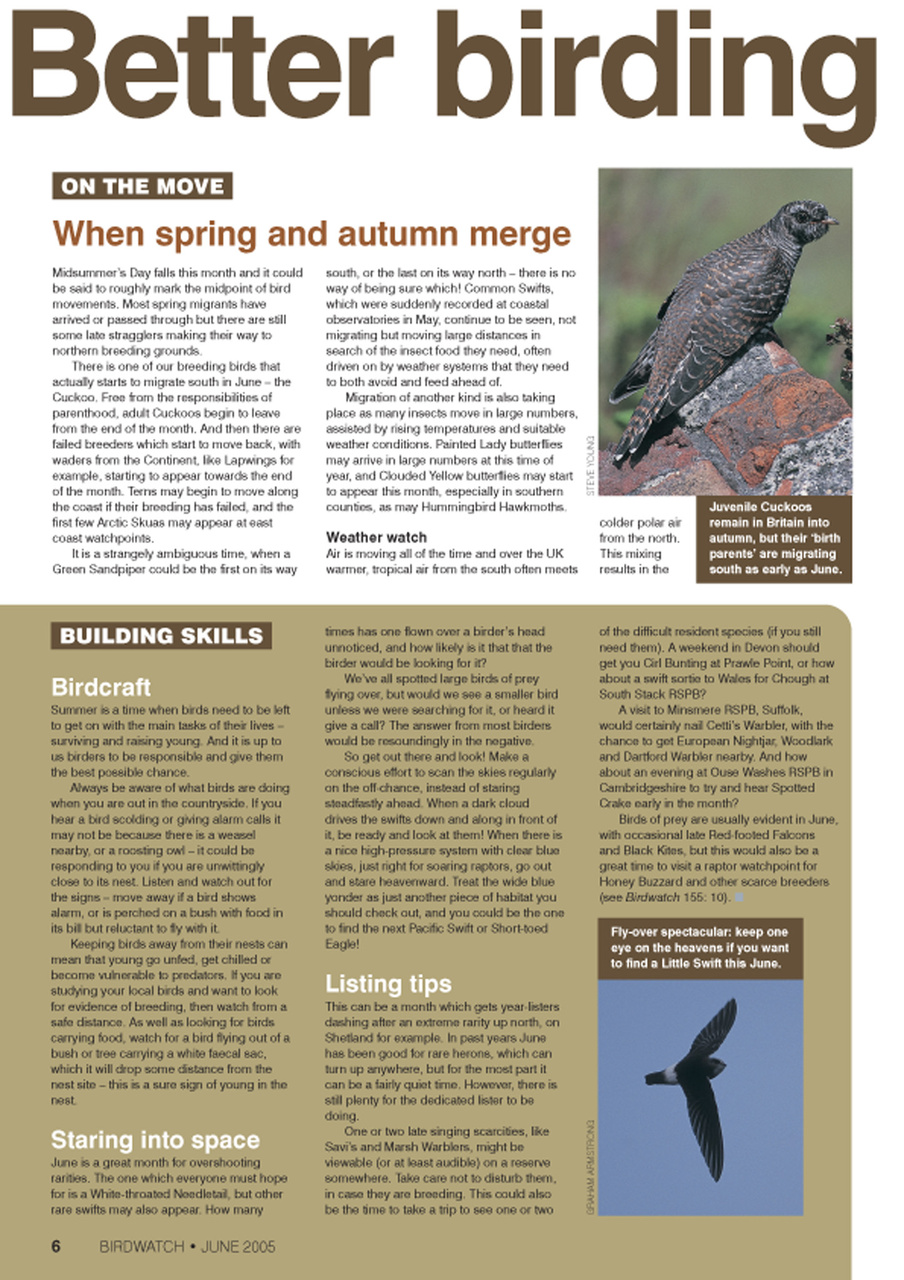 Birdwatch Magazine Preview Pages