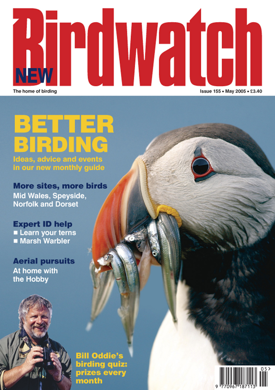 Birdwatch Magazine Preview Pages