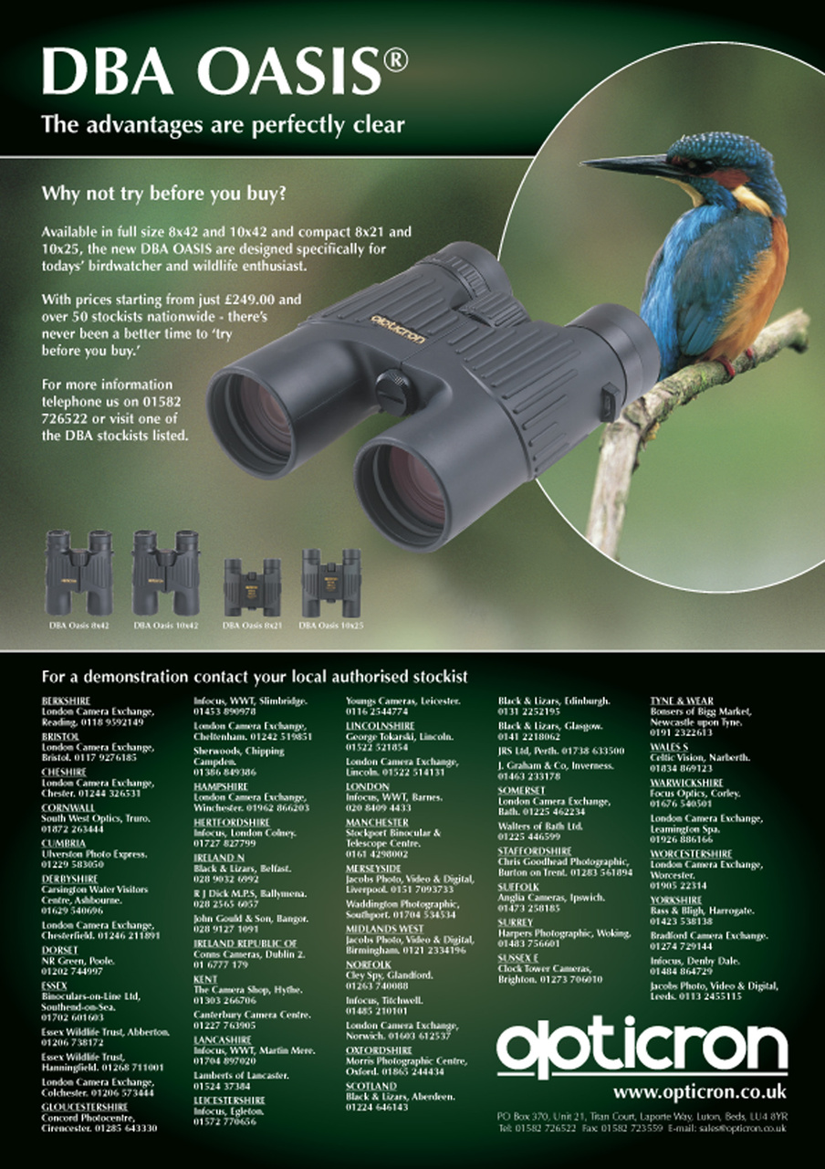 Birdwatch Magazine Preview Pages