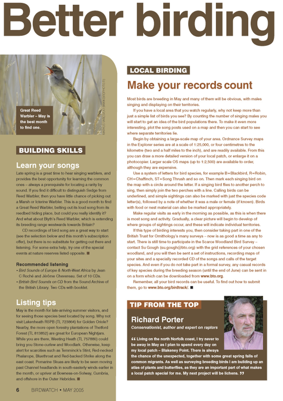 Birdwatch Magazine Preview Pages