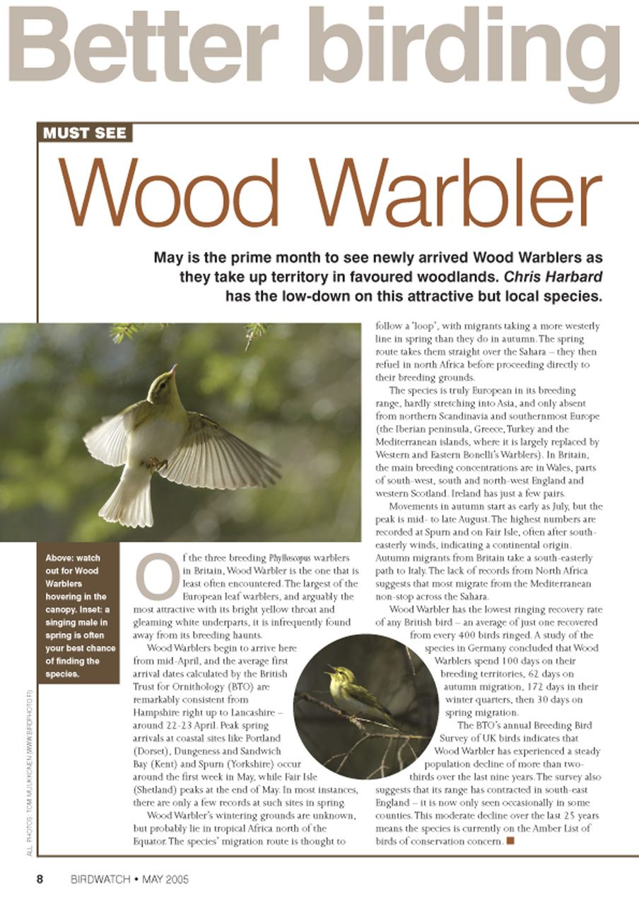 Birdwatch Magazine Preview Pages