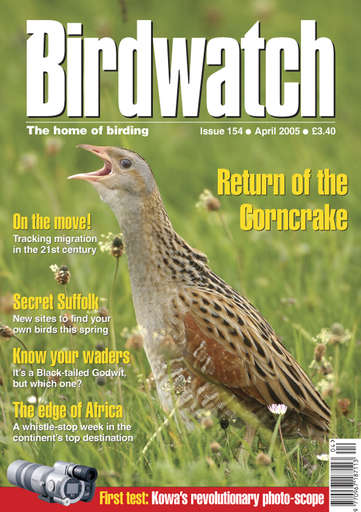 Birdwatch Magazine issue 