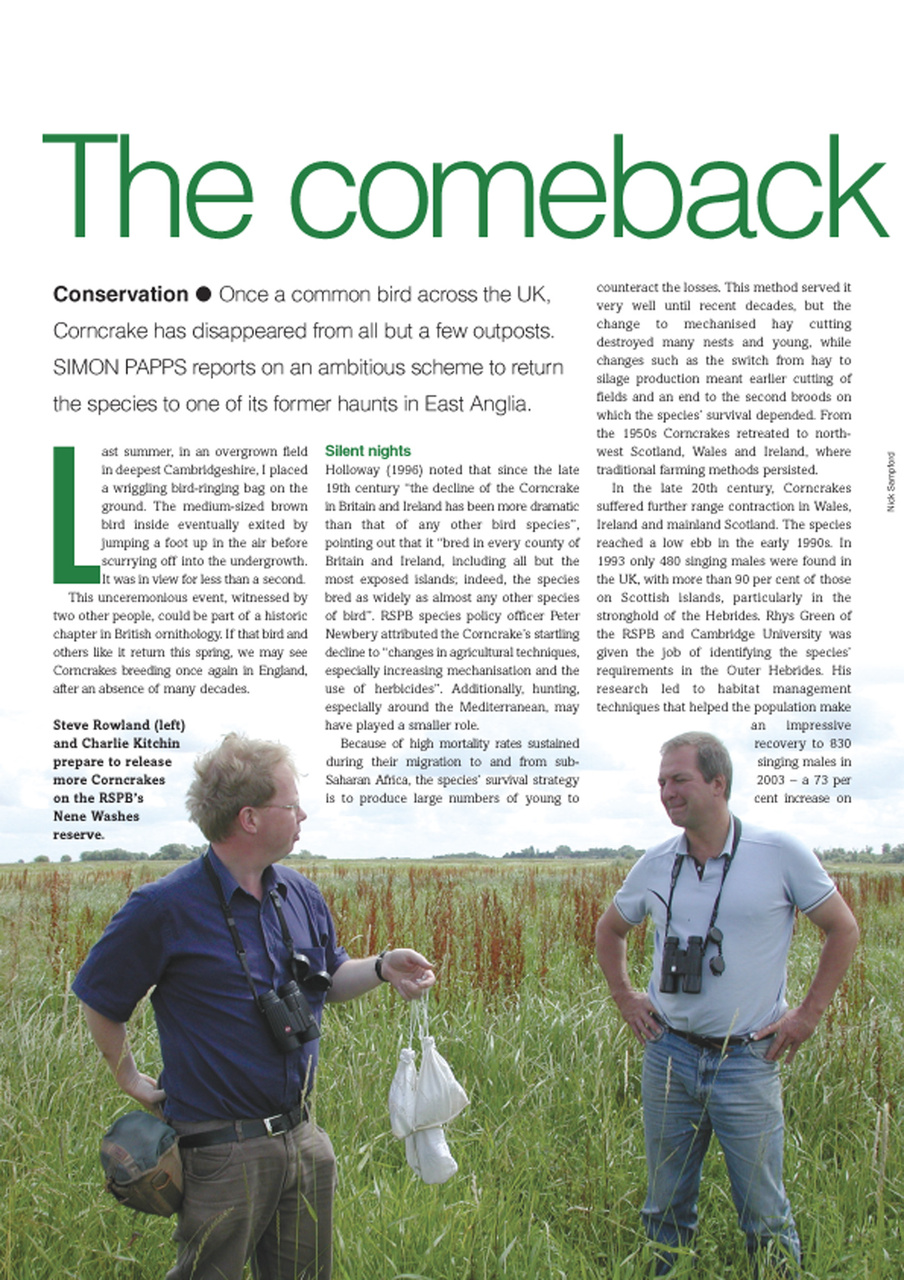 Birdwatch Magazine Preview Pages