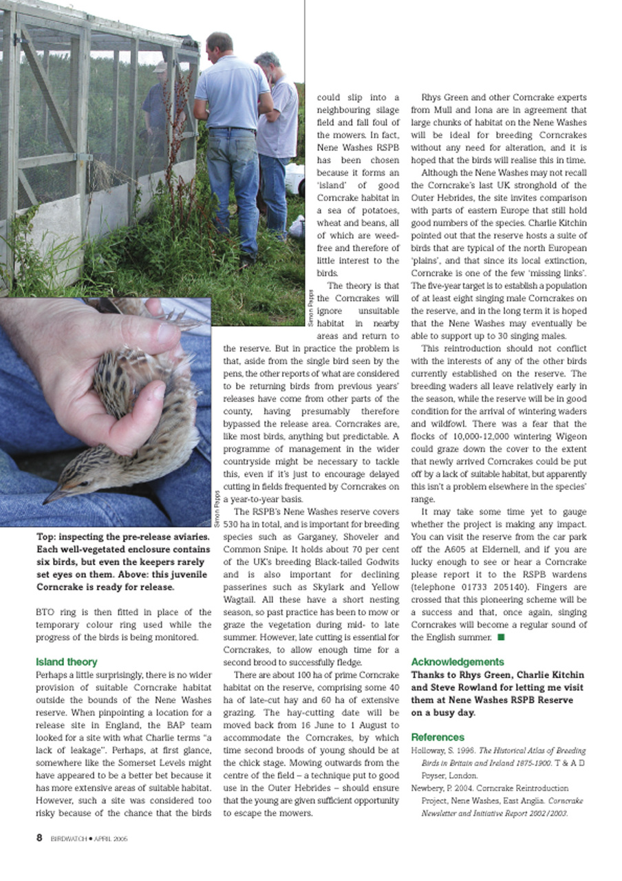 Birdwatch Magazine Preview Pages