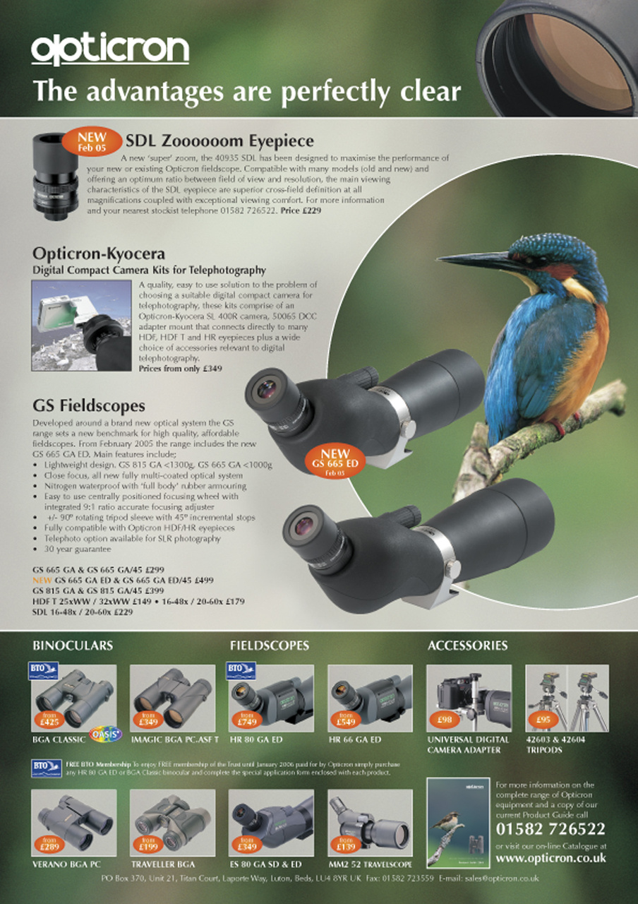 Birdwatch Magazine Preview Pages