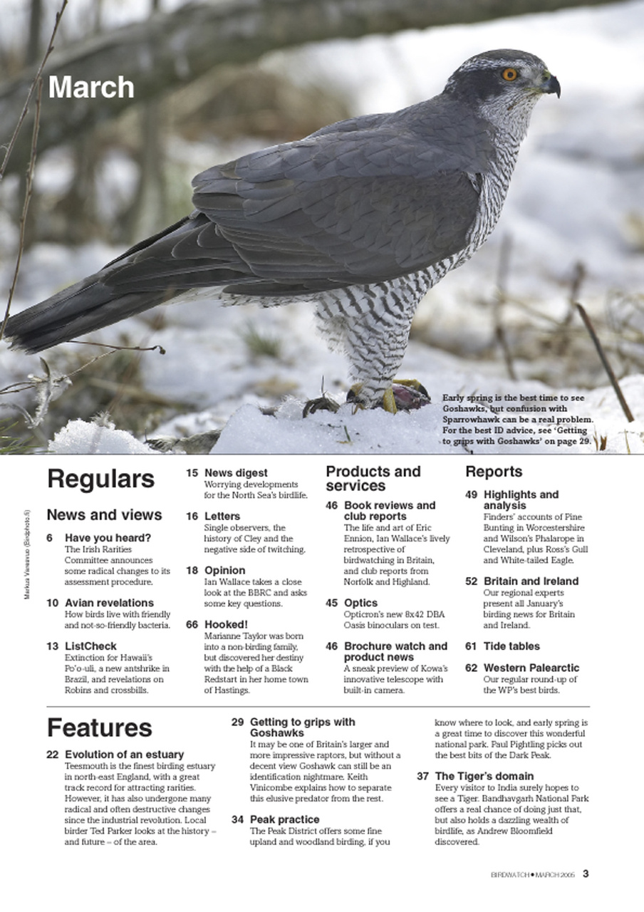 Birdwatch Magazine Preview Pages