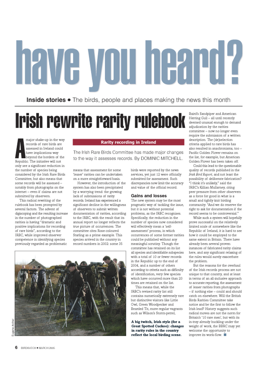 Birdwatch Magazine Preview Pages