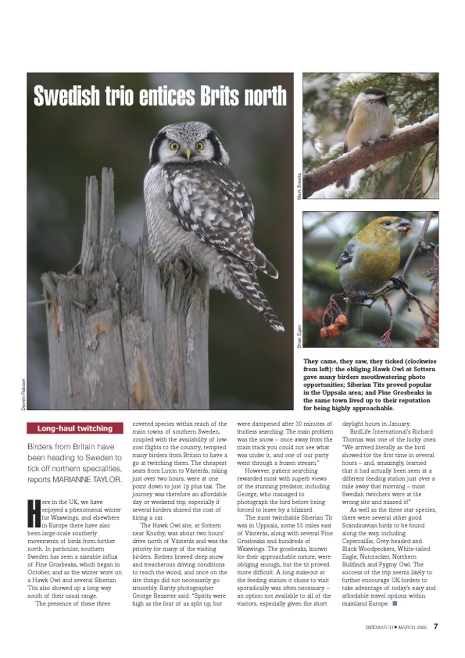 Birdwatch Magazine Preview Pages