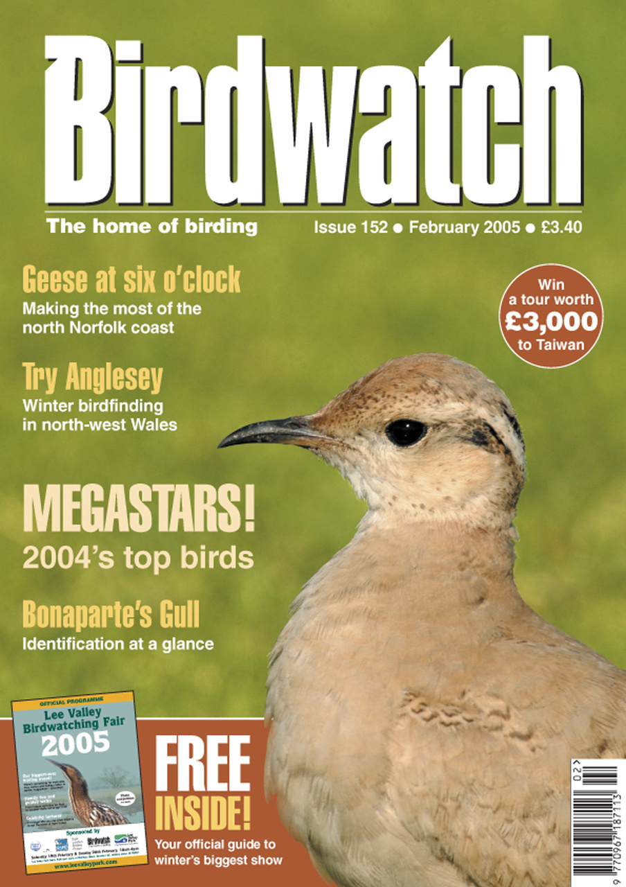 Birdwatch Magazine Preview Pages