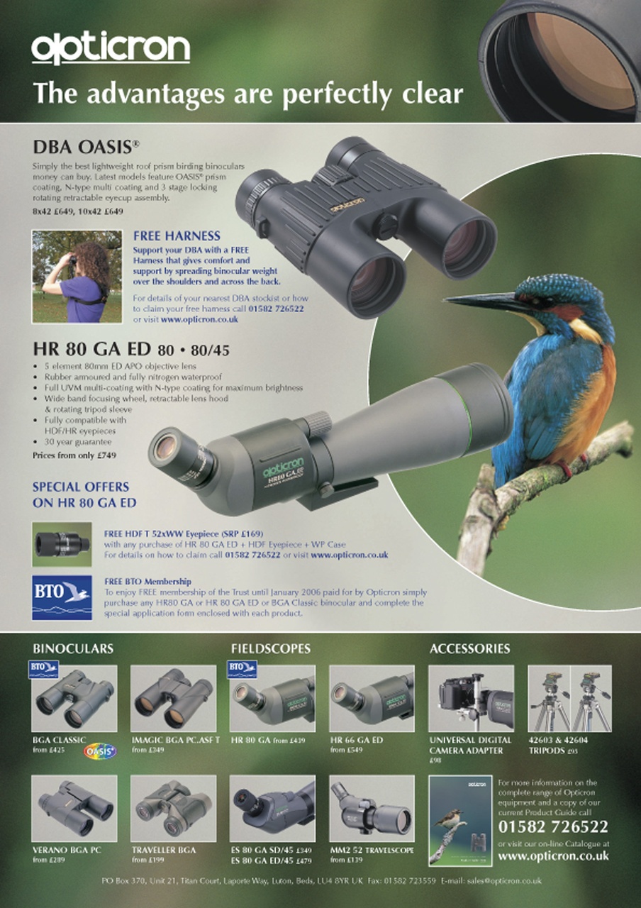 Birdwatch Magazine Preview Pages