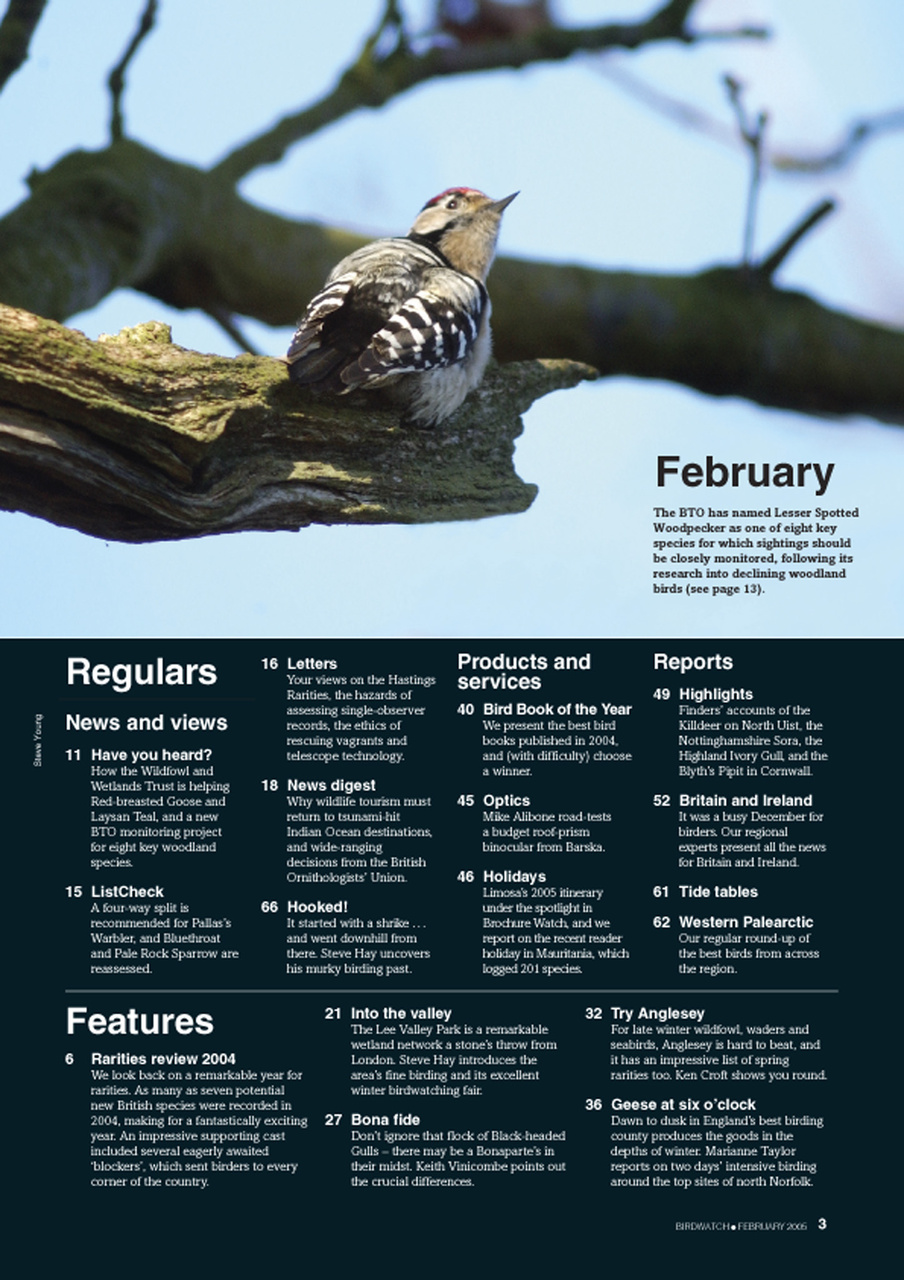 Birdwatch Magazine Preview Pages