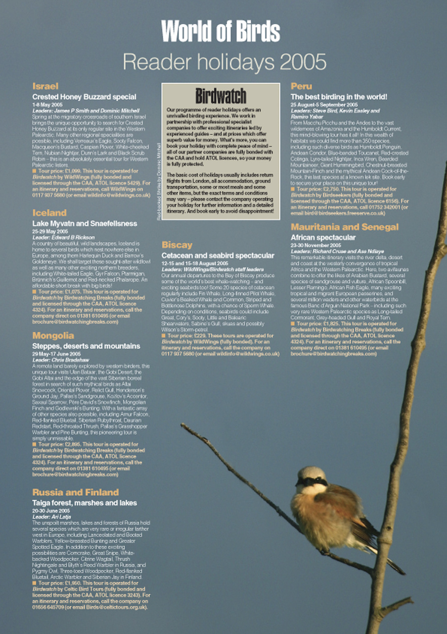 Birdwatch Magazine Preview Pages