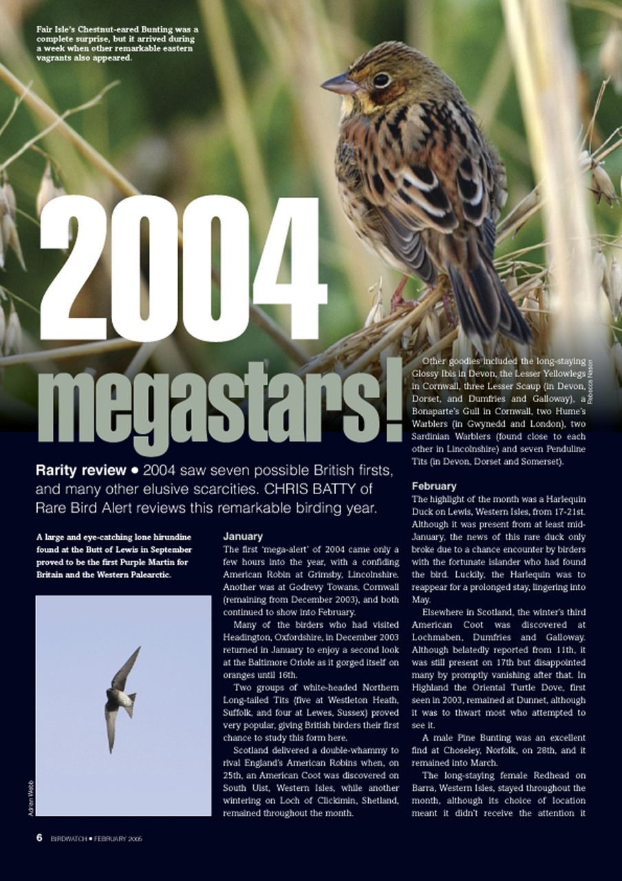 Birdwatch Magazine Preview Pages