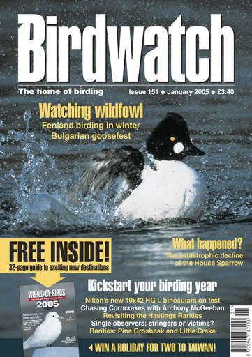 Birdwatch Magazine issue 