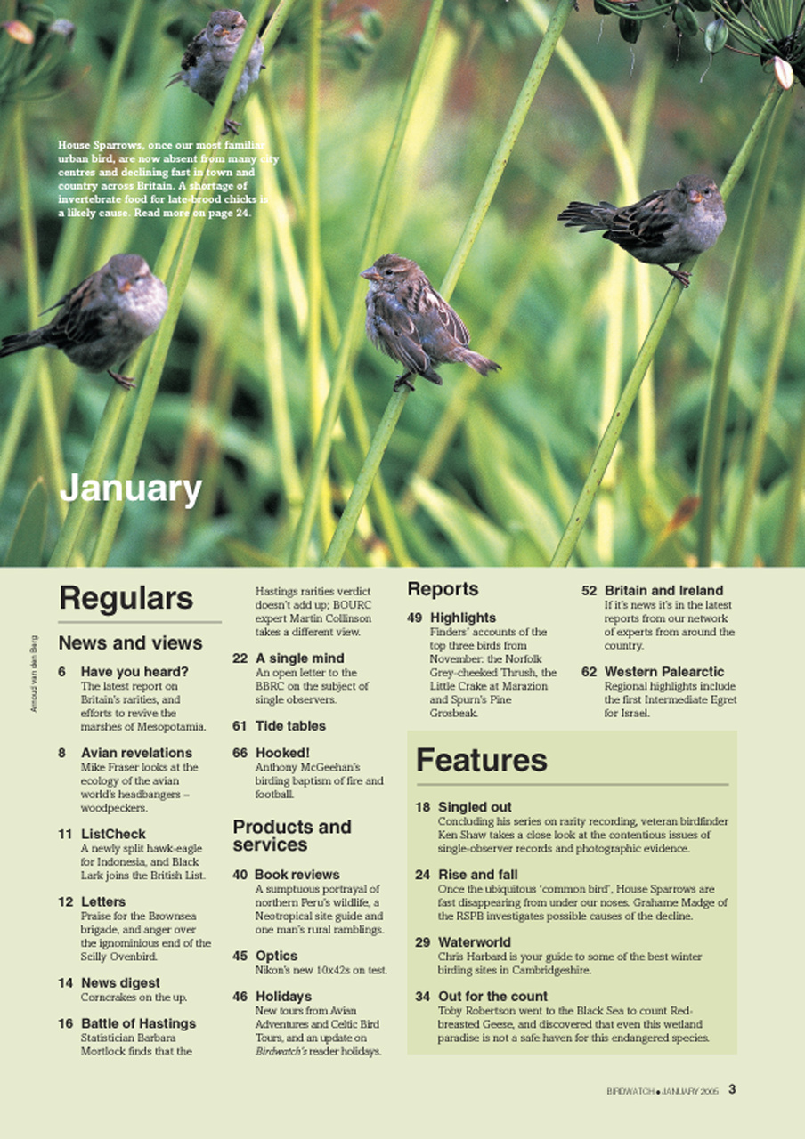 Birdwatch Magazine Preview Pages