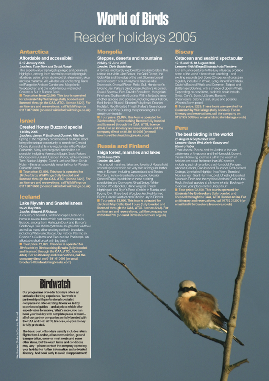 Birdwatch Magazine Preview Pages