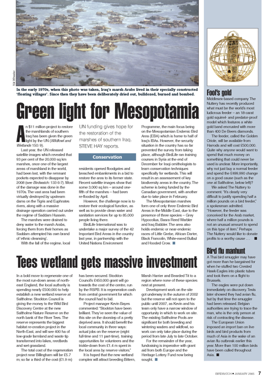 Birdwatch Magazine Preview Pages