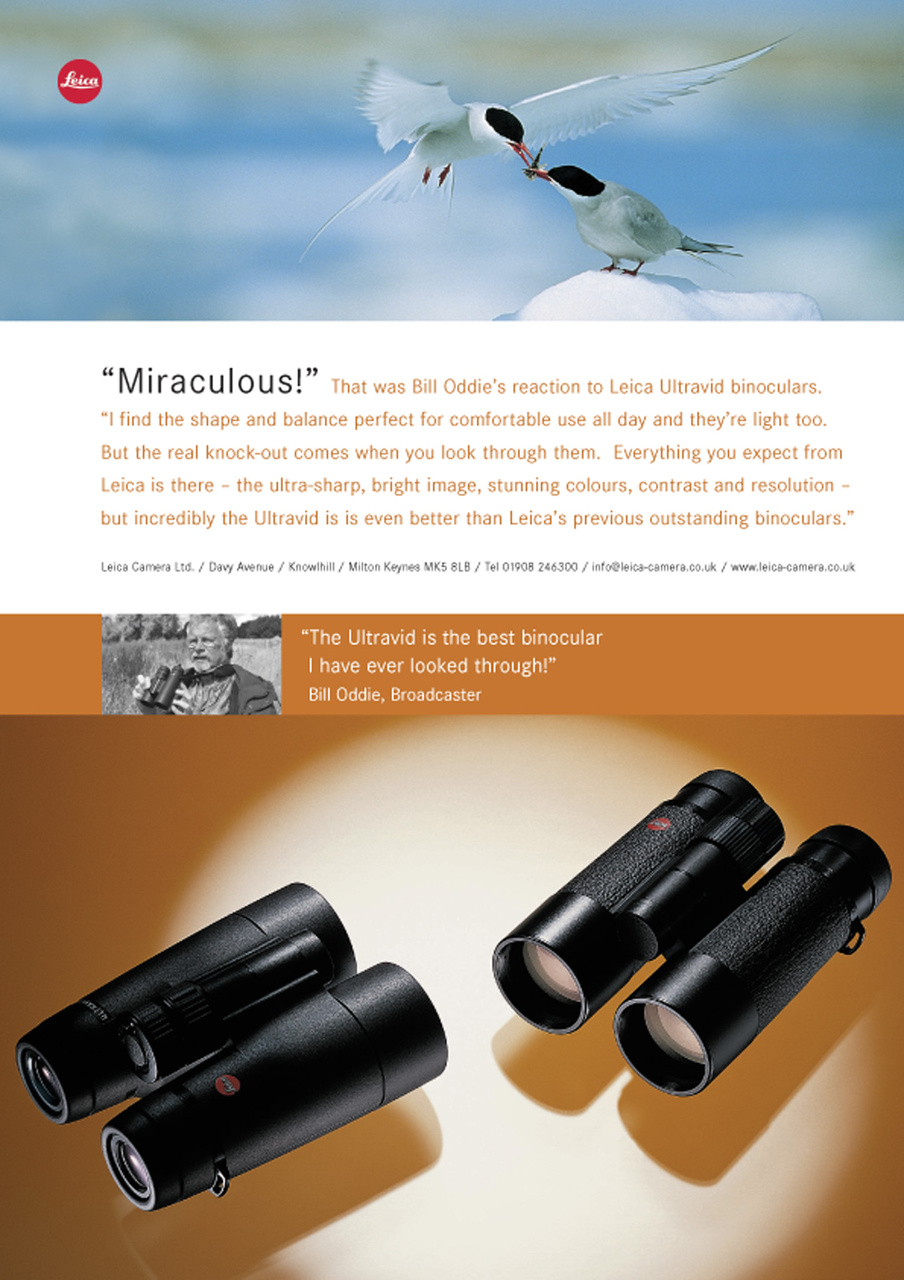 Birdwatch Magazine Preview Pages