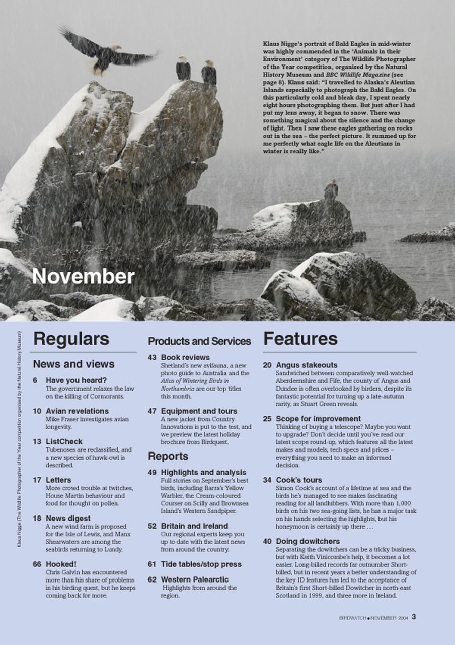 Birdwatch Magazine Preview Pages