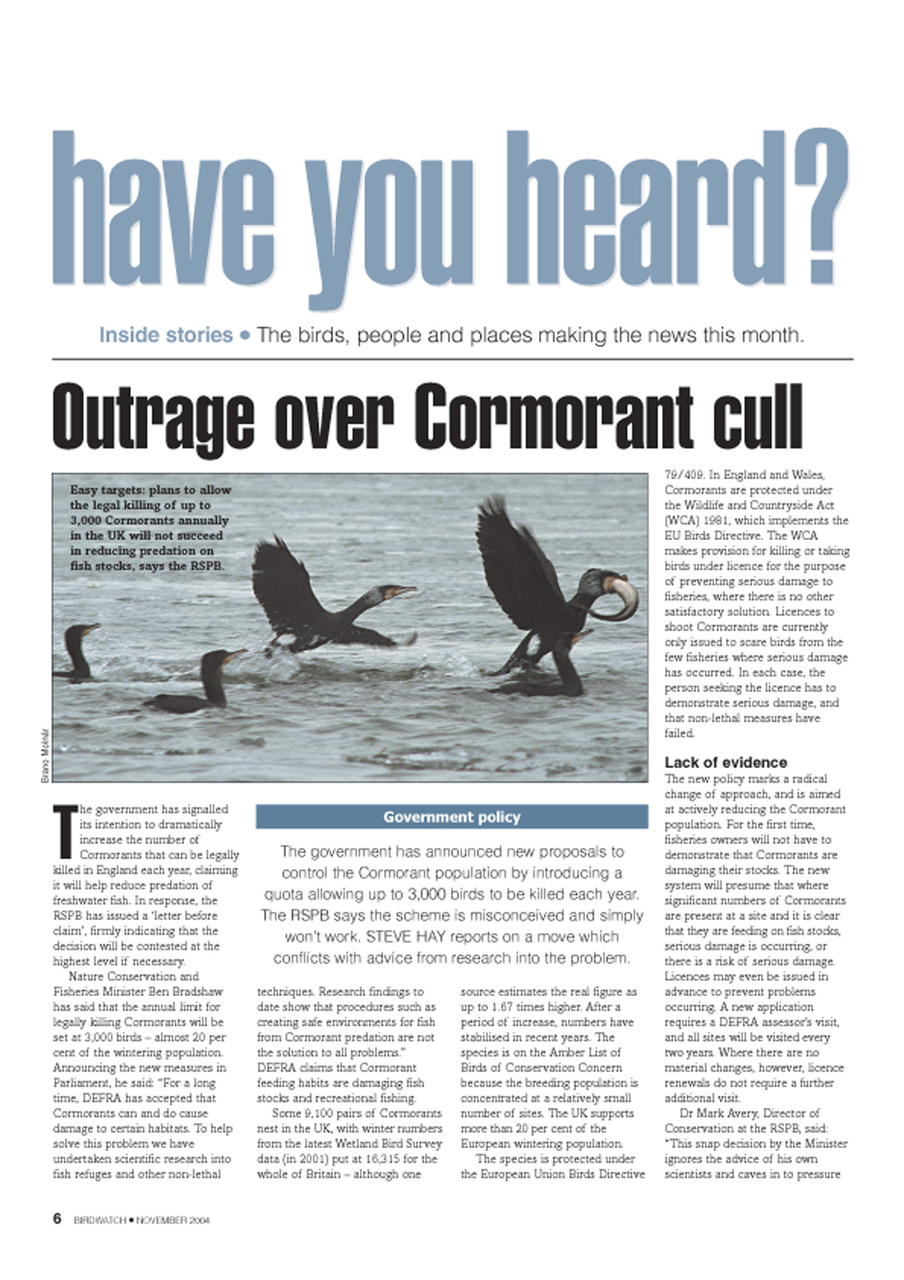 Birdwatch Magazine Preview Pages