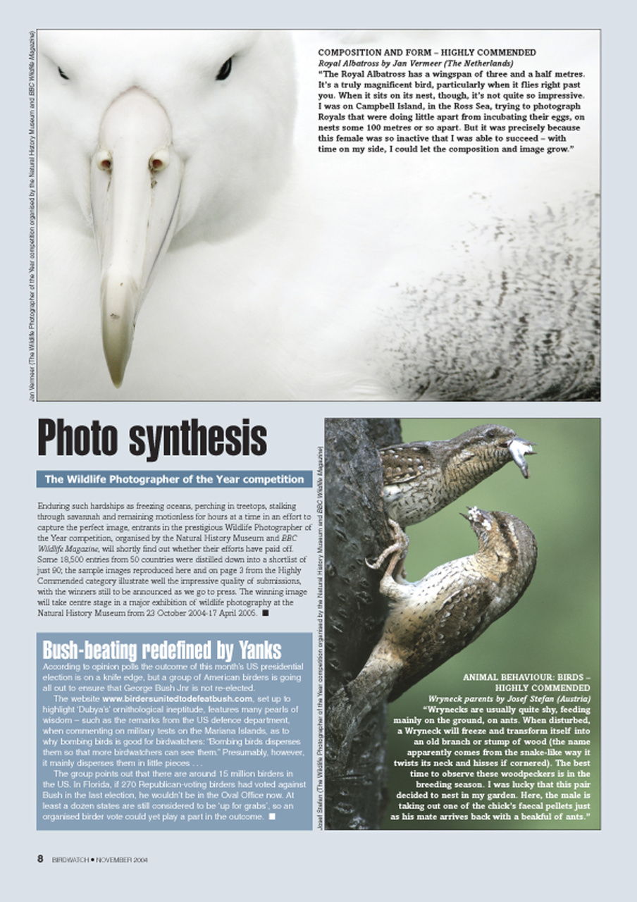 Birdwatch Magazine Preview Pages