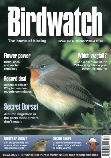 Birdwatch Magazine issue 