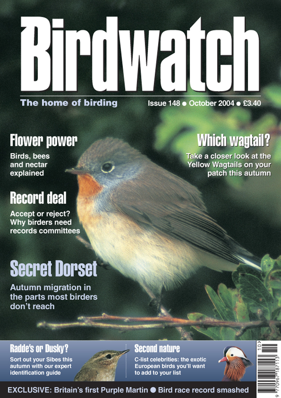 Birdwatch Magazine Preview Pages