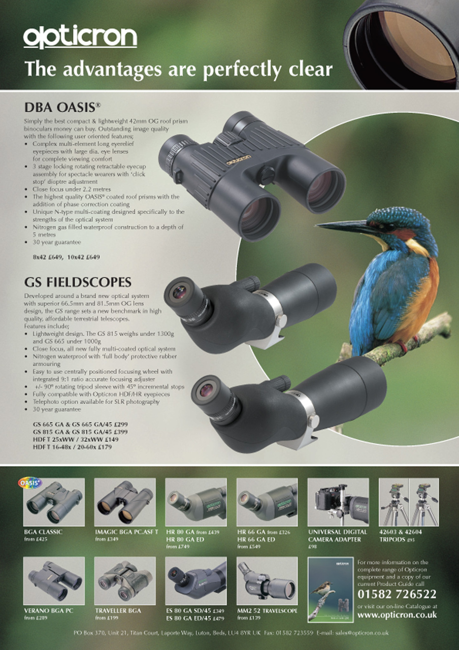 Birdwatch Magazine Preview Pages