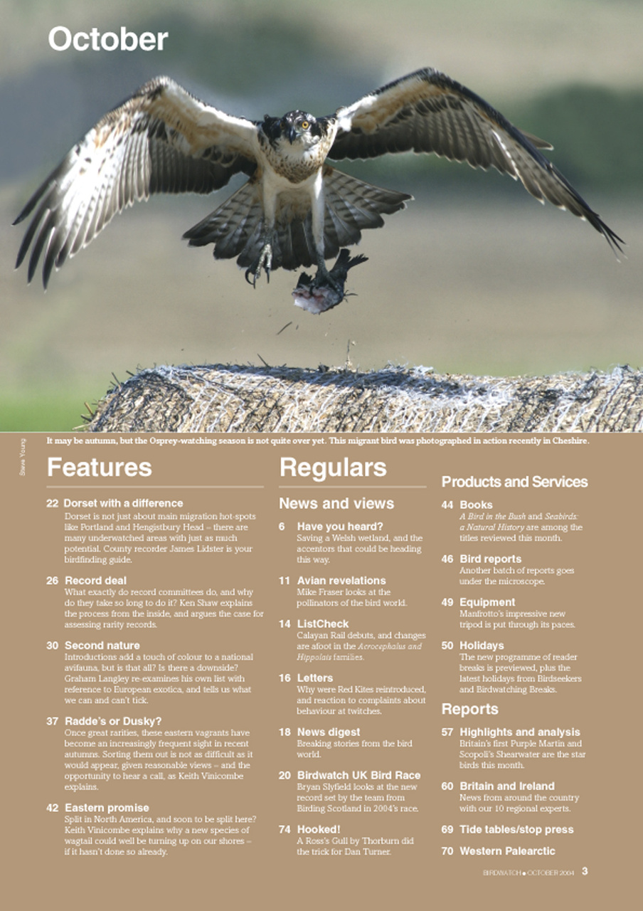 Birdwatch Magazine Preview Pages