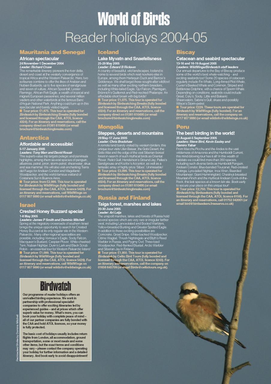 Birdwatch Magazine Preview Pages