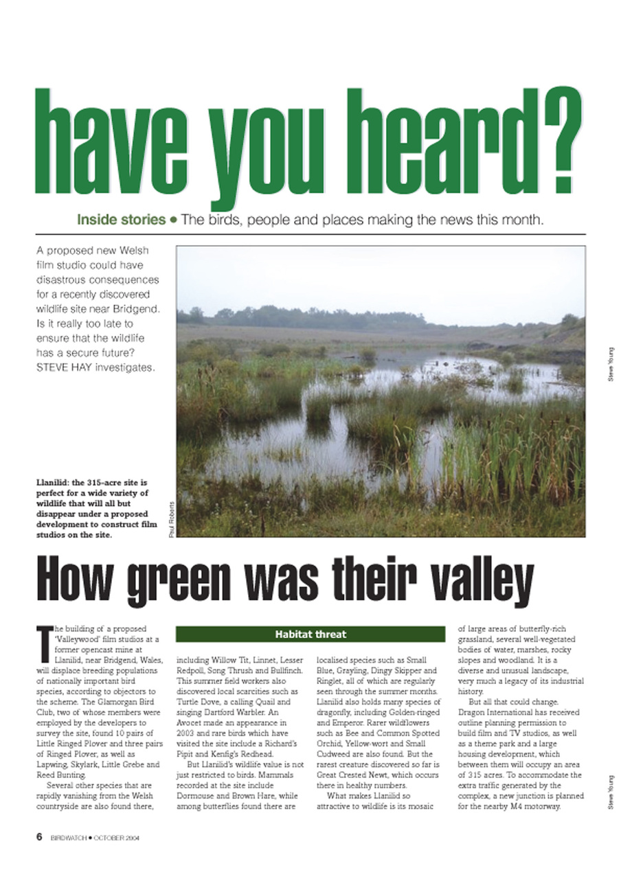 Birdwatch Magazine Preview Pages