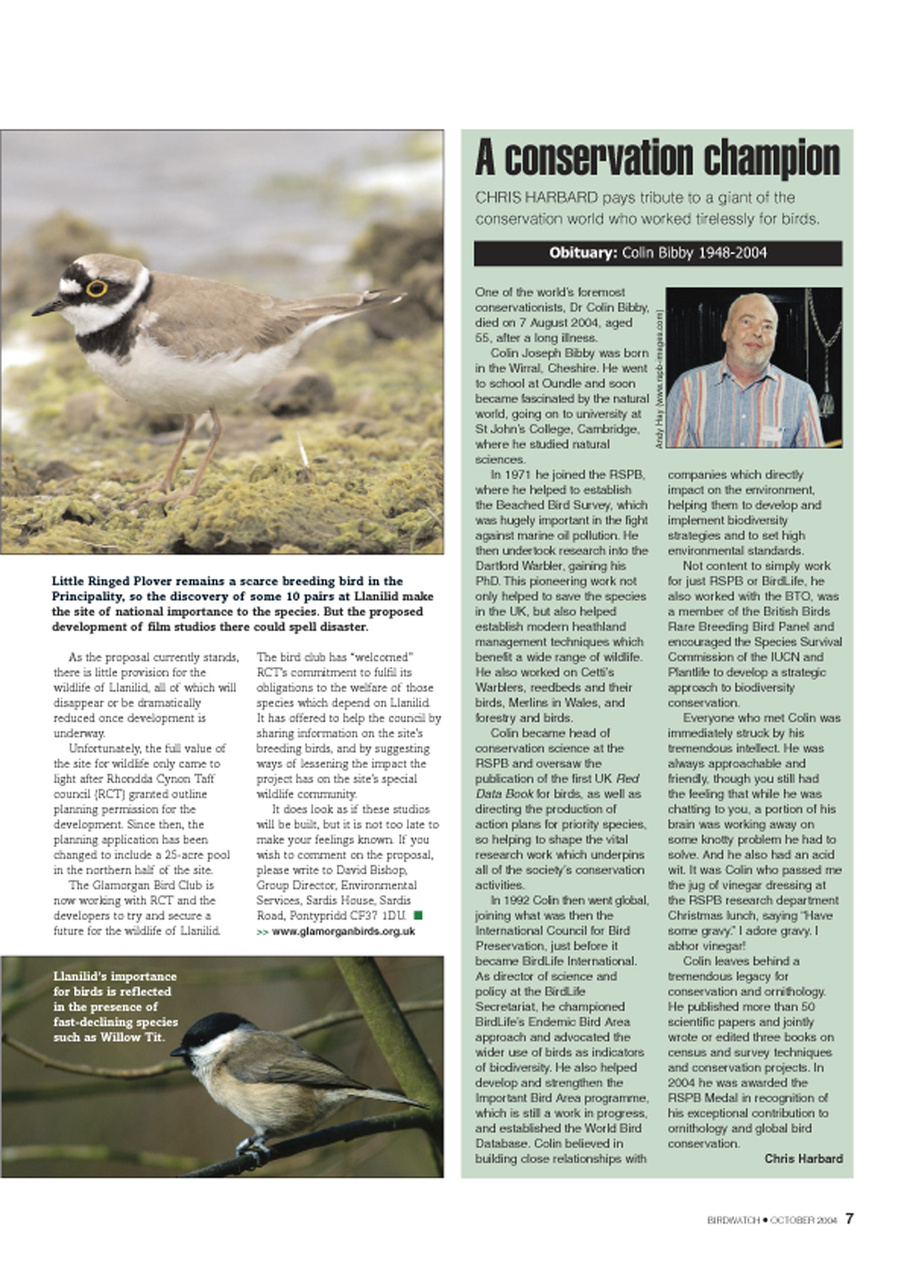 Birdwatch Magazine Preview Pages