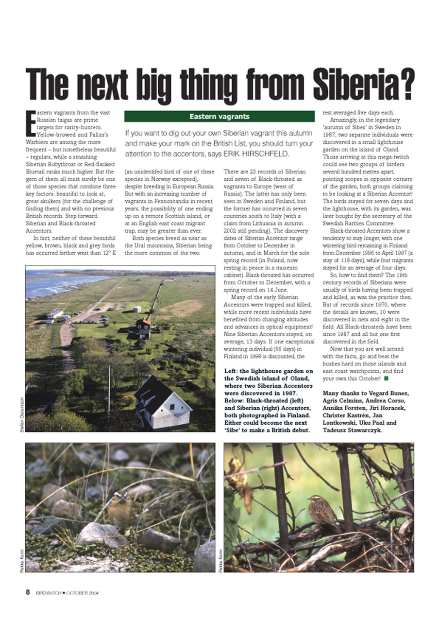 Birdwatch Magazine Preview Pages