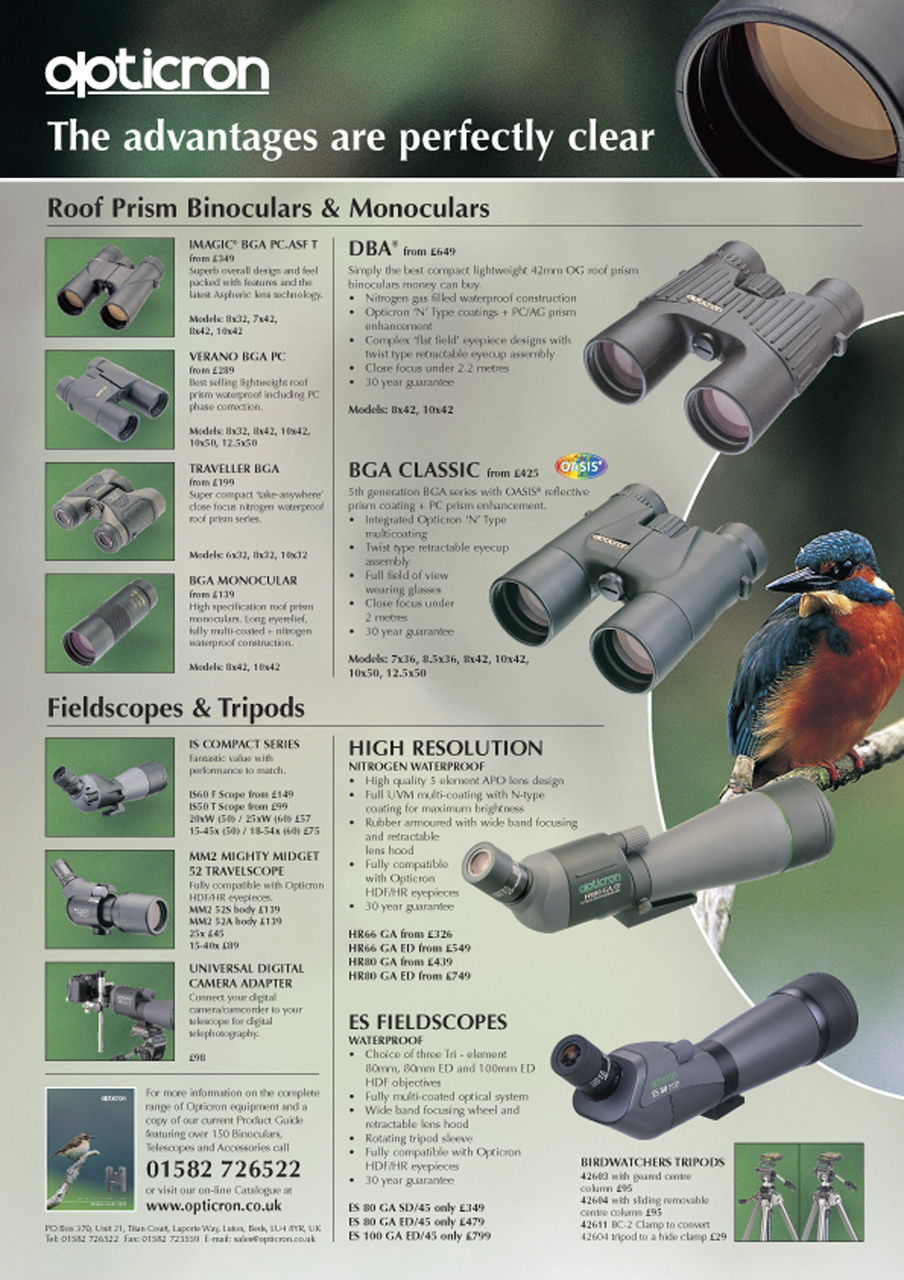 Birdwatch Magazine Preview Pages
