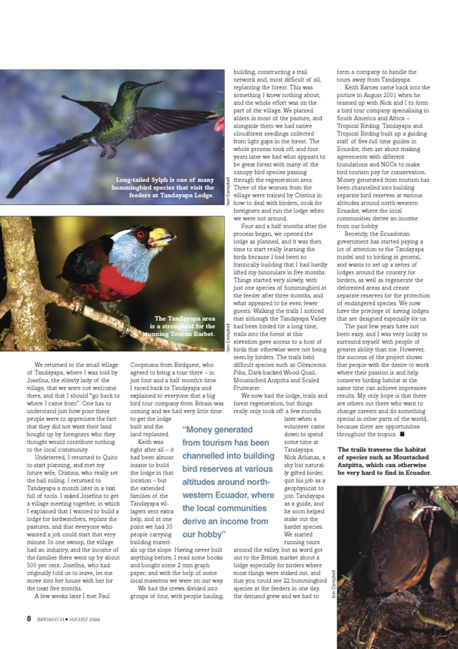 Birdwatch Magazine Preview Pages