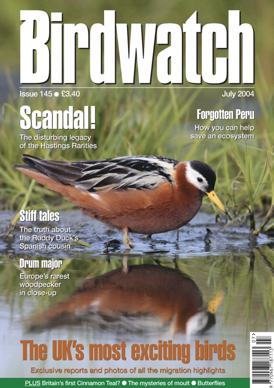 Birdwatch Magazine Preview Pages