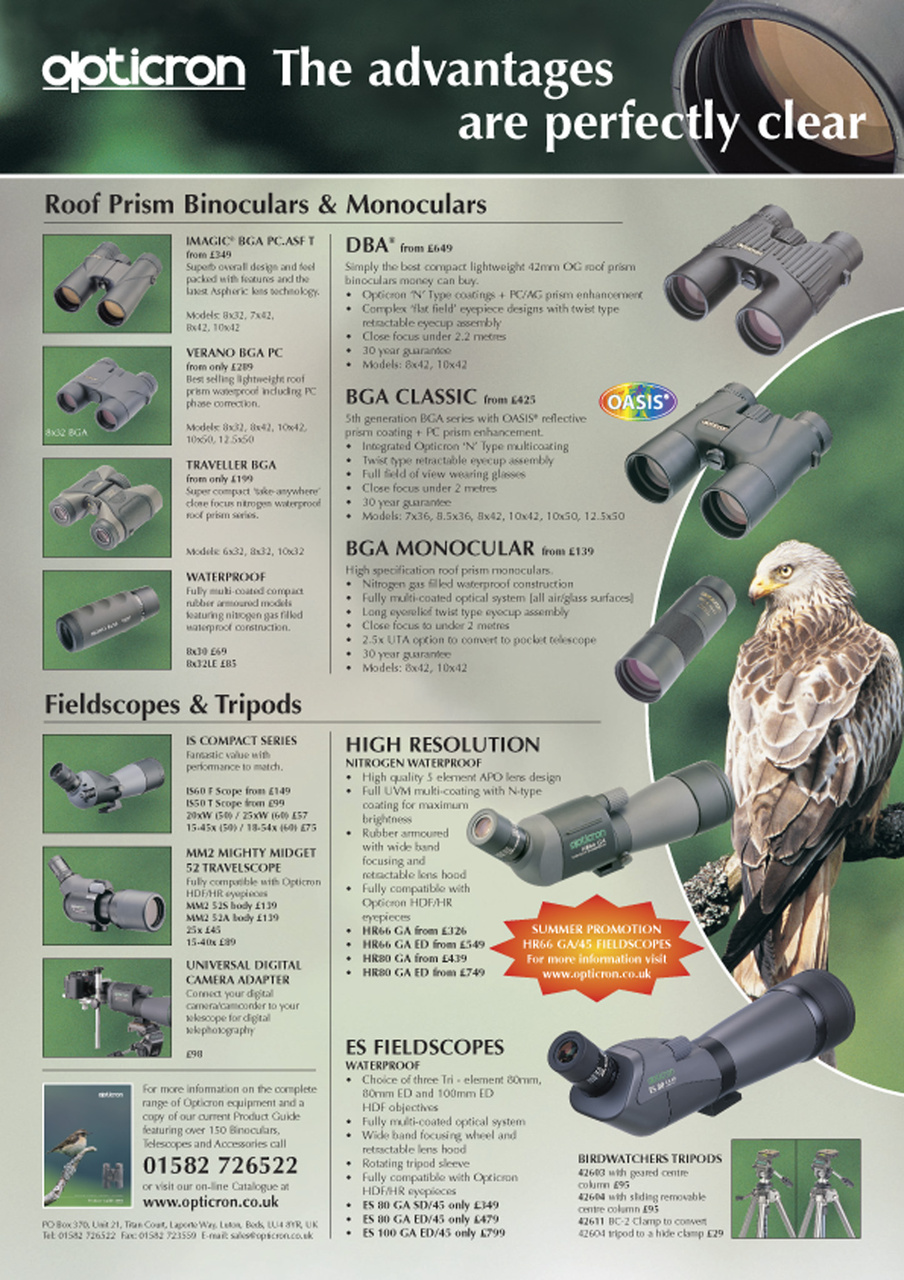 Birdwatch Magazine Preview Pages