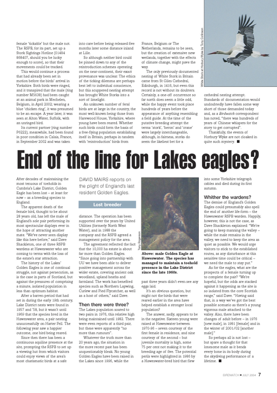 Birdwatch Magazine Preview Pages