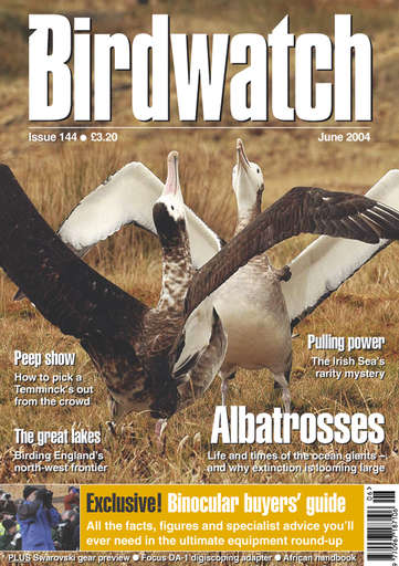 Birdwatch Magazine issue 