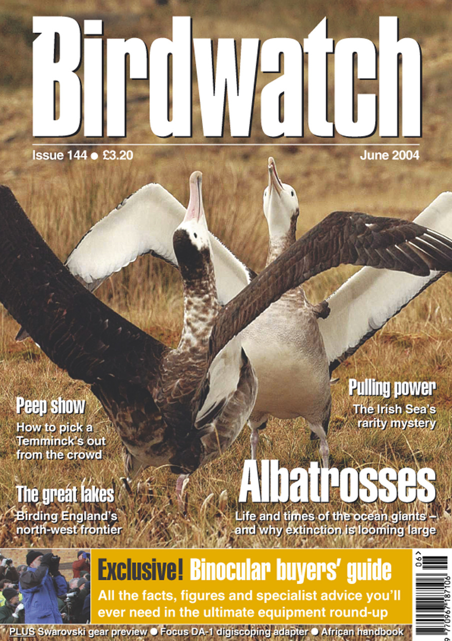 Birdwatch Magazine Preview Pages