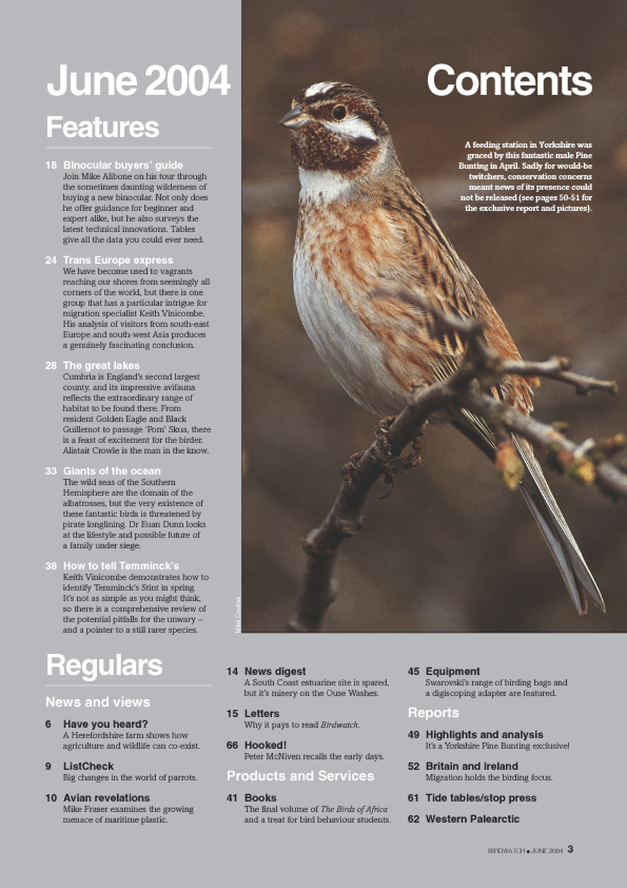 Birdwatch Magazine Preview Pages